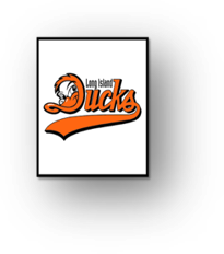 Long Island Ducks